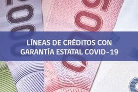 Subsecretario de Hacienda explicó la ley que otorga créditos con garantía Fogape a pymes del sector comercio